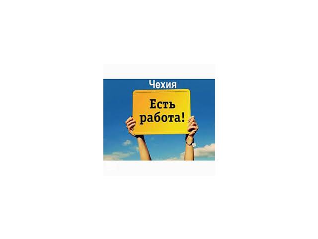 Работа в Чехии