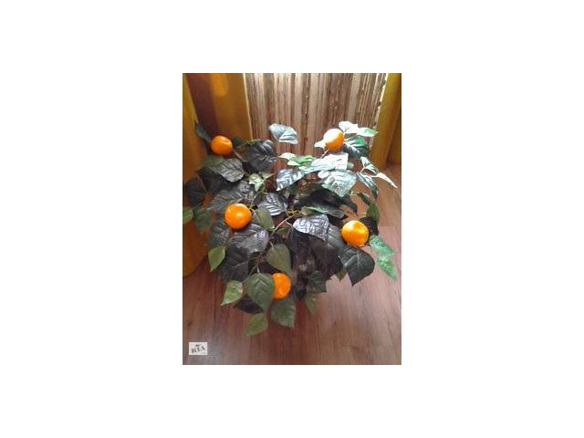 Prodaem Mandariny Iz Ispanii Prodam V Rubrike Frukty Po Luchshej Cene Prodazha Prodaem Mandariny Iz Ispanii S Polnym Opisaniem Cena 0 Torg Vozmozhen Obyavlenie 16511 Na Sajte Besplatnye Obyavleniya V