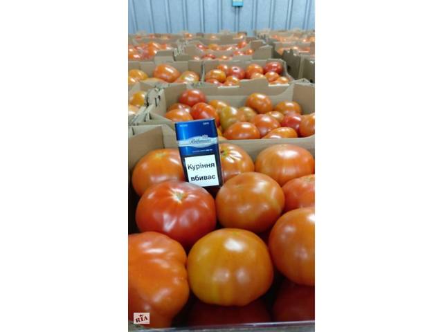 Продажа тепличного помидора оптом, Київська обл.