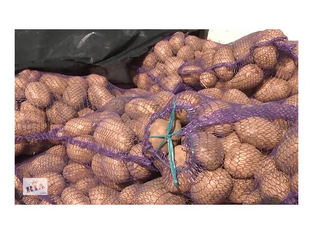 Продам велику картоплю з присадибної ділянки, близько 3 т