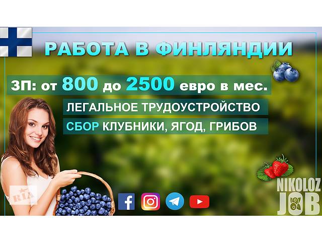 Легальная работа в Финляндии по сбору урожая