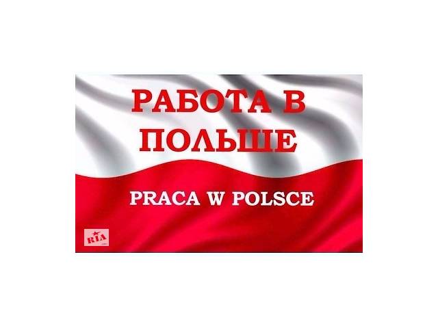 Легальная работа в Польше. Более 100 вакансий
