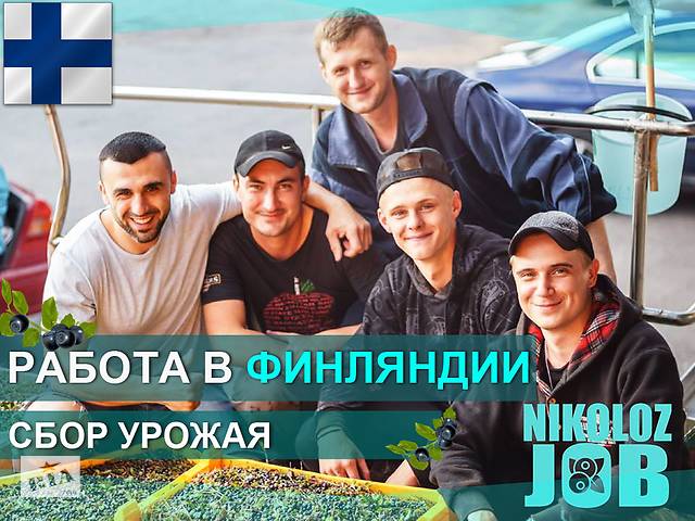 Работа на фермах Финляндии 2019. Открываем финский сертификат.