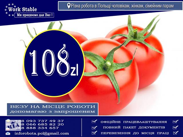 Теплиця Помідори,Огірки, Салата, Редиска, Молода Цибуля