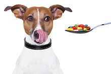 Витамины для собак и щенков